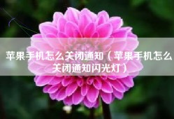 苹果手机怎么关闭通知（苹果手机怎么关闭通知闪光灯）
