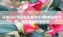 详解小红书封面批量制作与权限设置攻略，高效管理内容权限