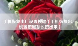 手机恢复出厂设置按键（手机恢复出厂设置按键怎么按出来）