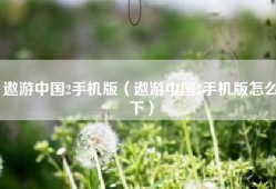 遨游中国2手机版（遨游中国2手机版怎么下）