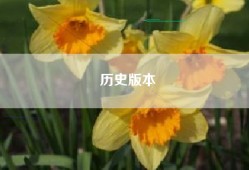 历史版本