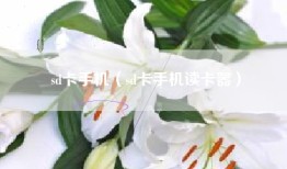 sd卡手机（sd卡手机读卡器）