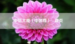 中信大厦（中国尊） - 首页