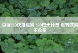 百度SEO快排服务 SEO按天计费 没有效果不收费
