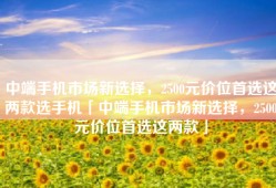 中端手机市场新选择，2500元价位首选这两款选手机「中端手机市场新选择，2500元价位首选这两款」