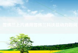 雪佛兰上汽通用雪佛兰科沃兹动力如何