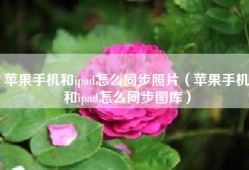 苹果手机和ipad怎么同步照片（苹果手机和ipad怎么同步图库）