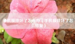 手机膜摔坏了怎么办（手机膜摔坏了怎么修复）
