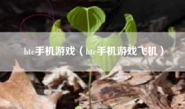htc手机游戏（htc手机游戏飞机）
