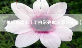 手机常亮展示（手机常亮展示怎么关闭）