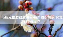 马斯克推波助澜 Meme资产纷纷崛起 究竟何为Meme？