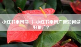 小红书乘风商 ｜ 小红书乘风广告如何做好推广？