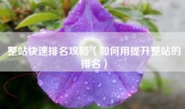 整站快速排名攻略（如何用提升整站的排名）