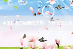 中国和塞尔维亚的关系，为什么这么铁