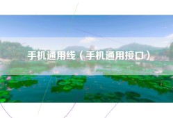 手机通用线（手机通用接口）