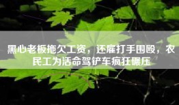 黑心老板拖欠工资，还雇打手围殴，农民工为活命驾铲车疯狂碾压