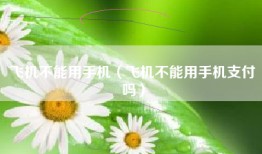 飞机不能用手机（飞机不能用手机支付吗）