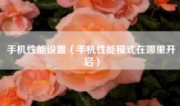 手机性能设置（手机性能模式在哪里开启）