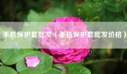 手机保护套批发（手机保护套批发价格）