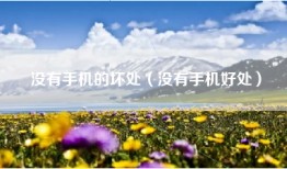 没有手机的坏处（没有手机好处）