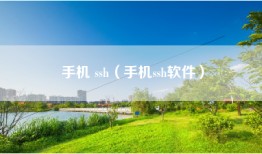 手机 ssh（手机ssh软件）