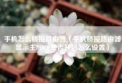 手机怎么桥接路由器（手机桥接路由器显示主DHCP是否开启怎么设置）
