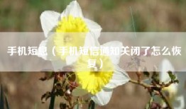 手机短息（手机短信通知关闭了怎么恢复）