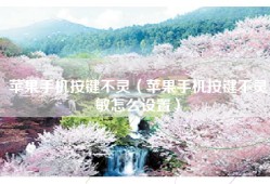 苹果手机按键不灵（苹果手机按键不灵敏怎么设置）