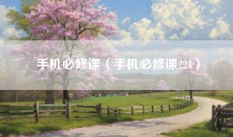 手机必修课（手机必修课221）