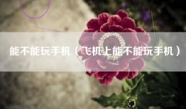 能不能玩手机（飞机上能不能玩手机）