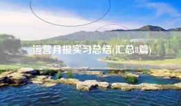 运营月报实习总结(汇总8篇)