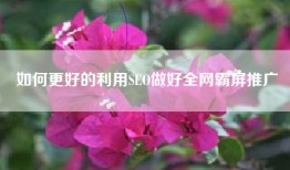 如何更好的利用SEO做好全网霸屏推广