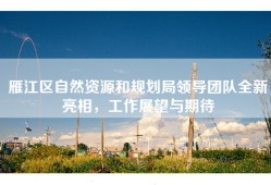 雁江区自然资源和规划局领导团队全新亮相，工作展望与期待