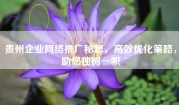 贵州企业网络推广秘籍，高效优化策略，助您独树一帜