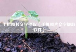 手机图片文字提取（手机图片文字提取软件）
