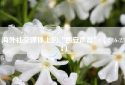 海外社交媒体上的“西安声音”（2.16-2.28）