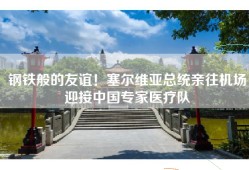 钢铁般的友谊！塞尔维亚总统亲往机场迎接中国专家医疗队