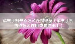 苹果手机热点怎么连接电脑（苹果手机热点怎么连接电脑连不上）