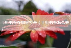手机书签在哪里打开（手机书签怎么弄）