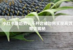 小红书新趋势，不开店铺如何实现高效带货揭秘