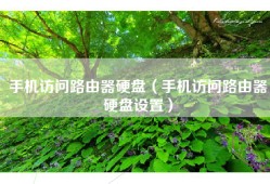 手机访问路由器硬盘（手机访问路由器硬盘设置）