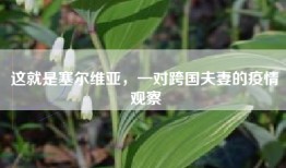 这就是塞尔维亚，一对跨国夫妻的疫情观察