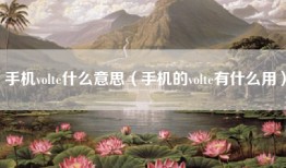 手机volte什么意思（手机的volte有什么用）