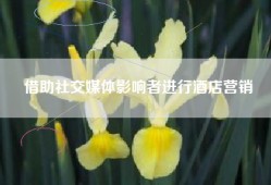 借助社交媒体影响者进行酒店营销