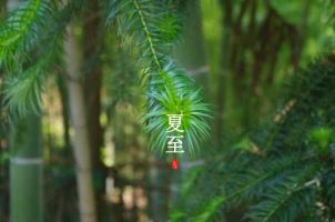 乌恰救援_汽车救援服务｜快速救援