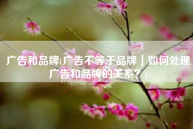 广告和品牌(广告不等于品牌｜如何处理广告和品牌的关系？)