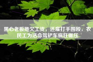 黑心老板拖欠工资，还雇打手围殴，农民工为活命驾铲车疯狂碾压