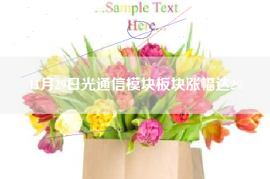 11月29日光通信模块板块涨幅达2%
