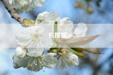 易搜猫