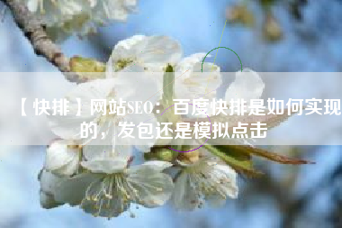 【快排】网站SEO：百度快排是如何实现的，发包还是模拟点击